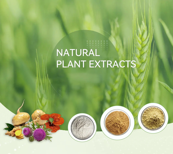 Natural Plant Extract